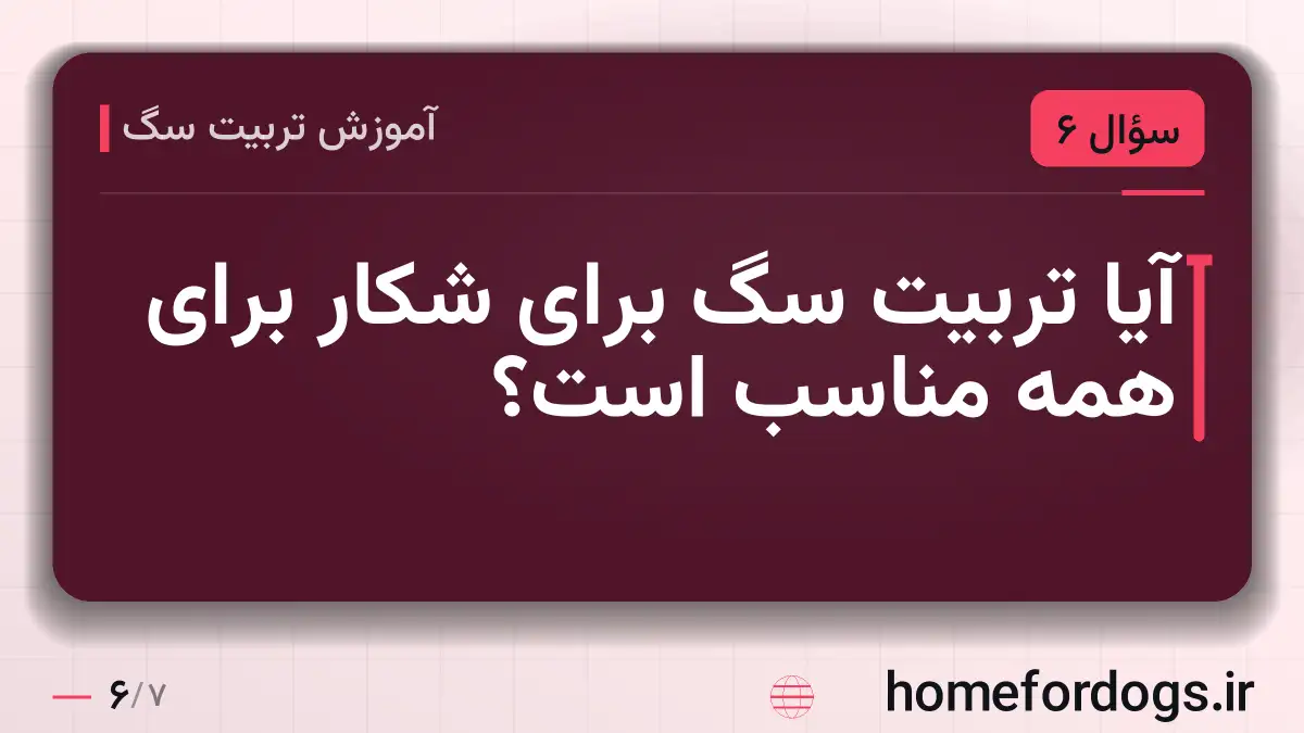 آیا تربیت سگ برای شکار برای همه مناسب است؟