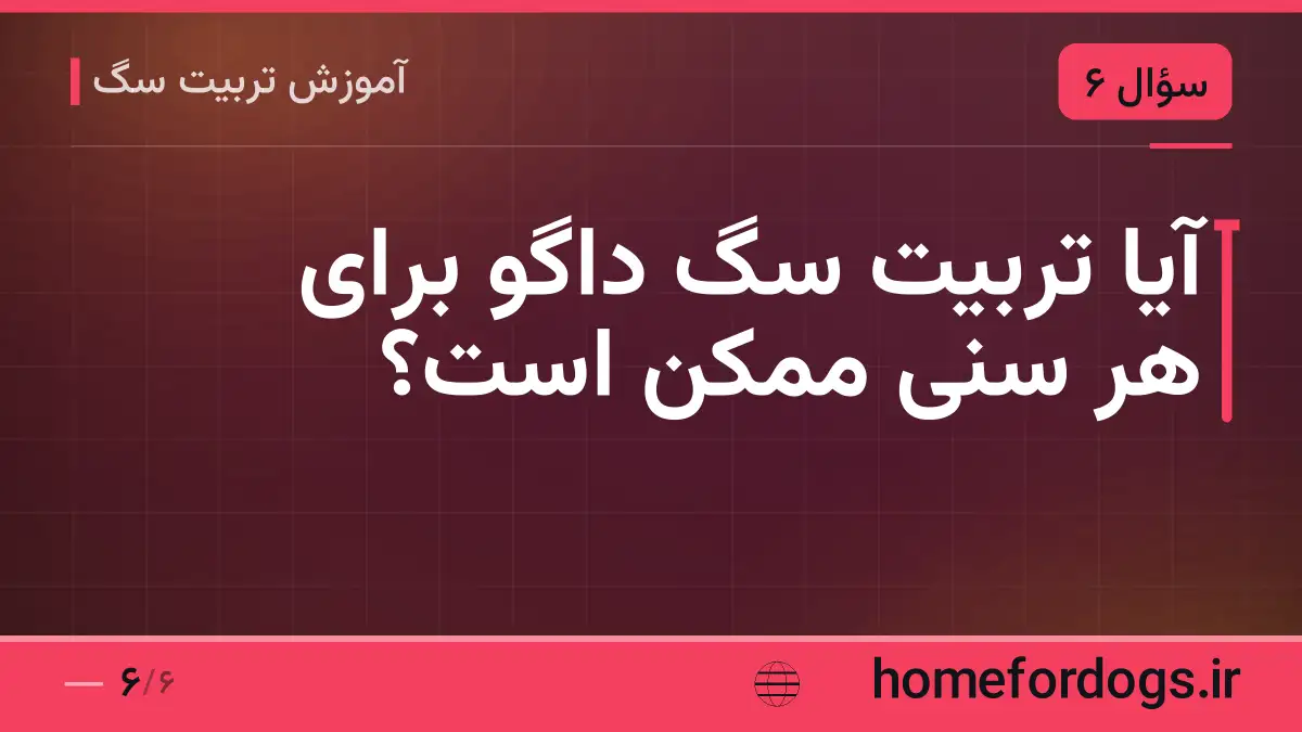 آیا تربیت سگ داگو برای هر سنی ممکن است؟