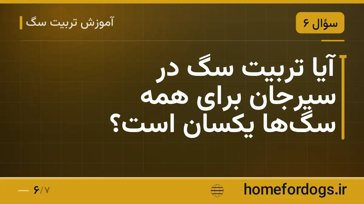 آیا تربیت سگ در سیرجان برای همه سگها یکسان است؟