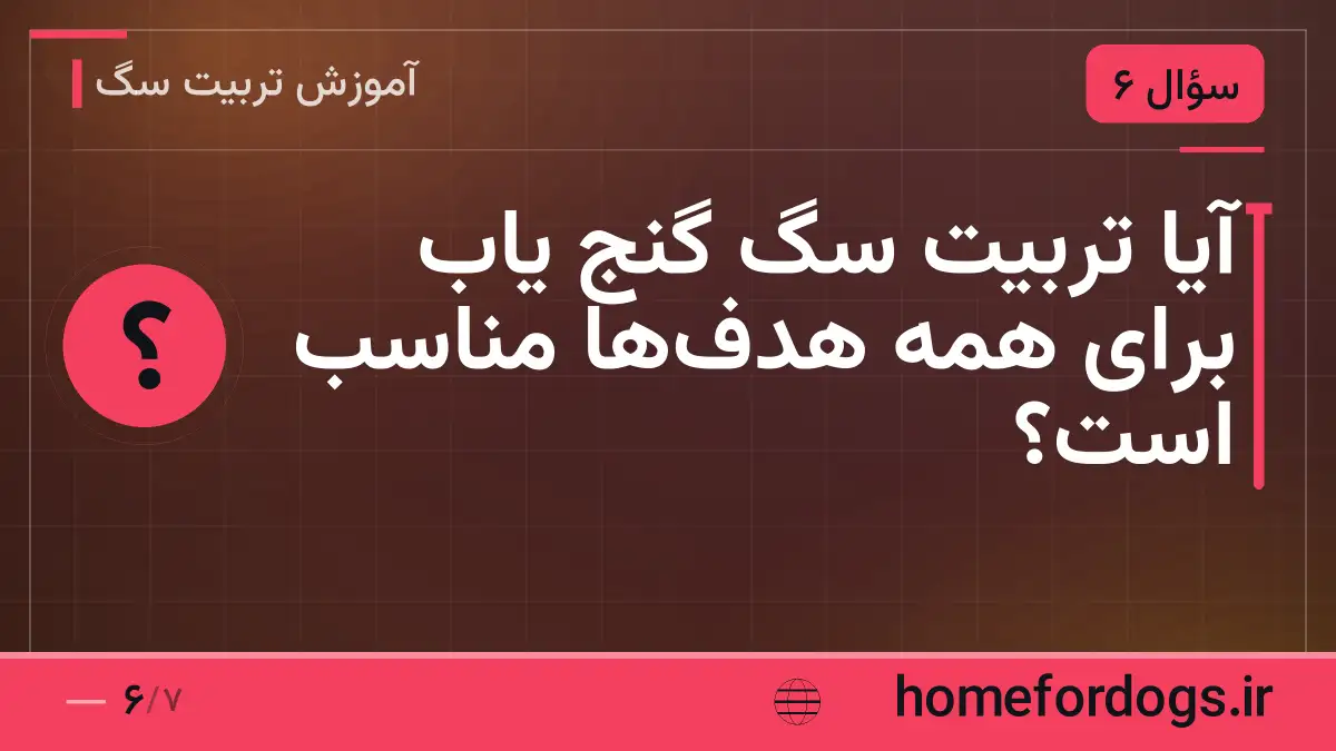 آیا تربیت سگ گنج یاب برای همه هدف‌ها مناسب است؟