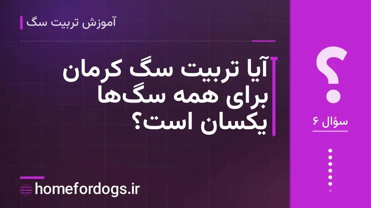 آیا تربیت سگ کرمان برای همه سگ‌ها یکسان است؟
