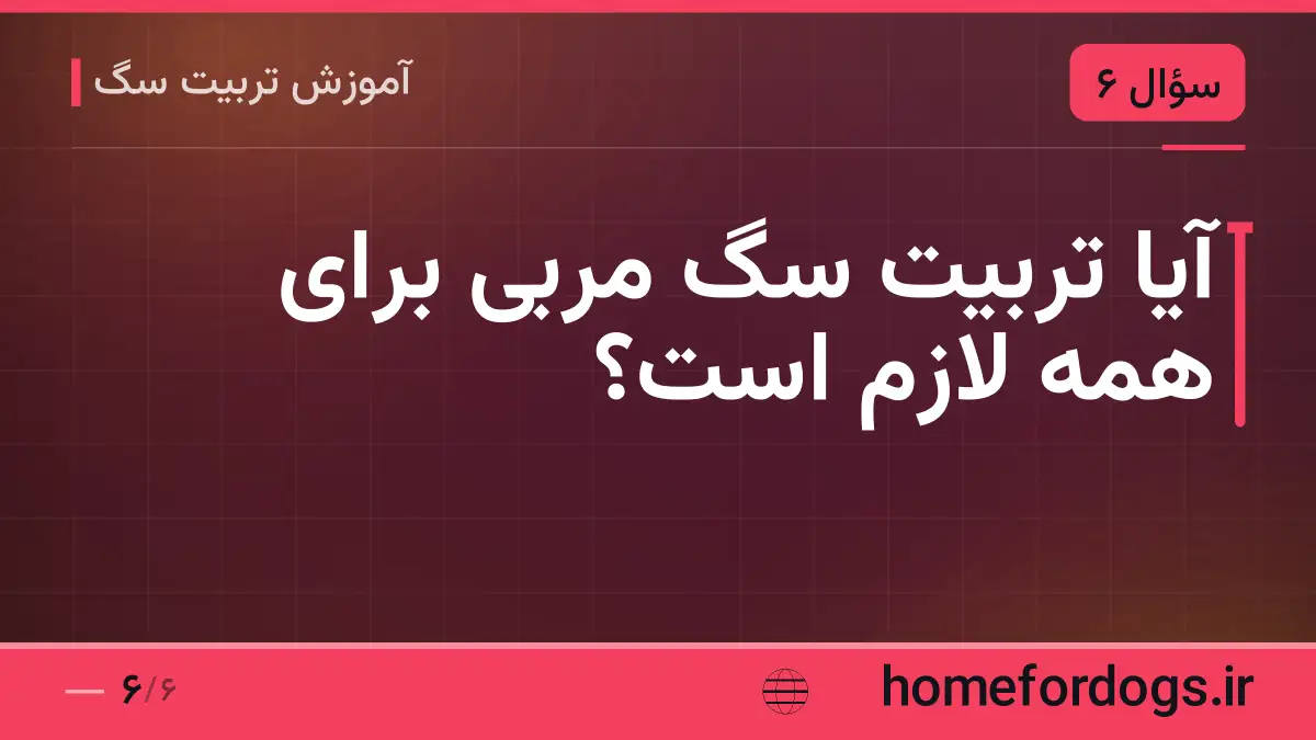 آیا تربیت سگ مربی برای همه لازم است؟