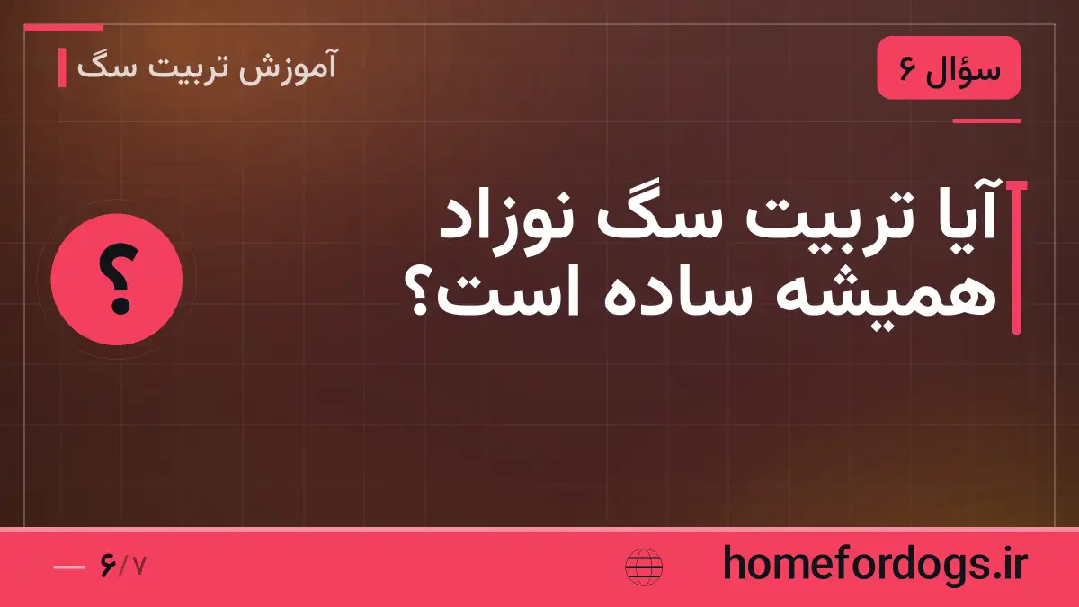 آیا تربیت سگ نوزاد همیشه ساده است؟