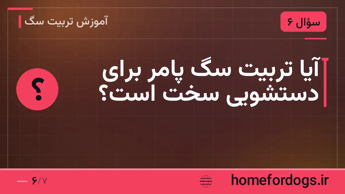 آیا تربیت سگ پامر برای دستشویی سخت است؟