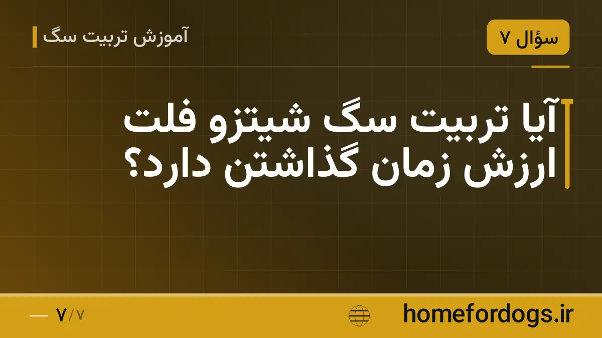آیا تربیت سگ شیتزو فلت ارزش زمان گذاشتن دارد؟