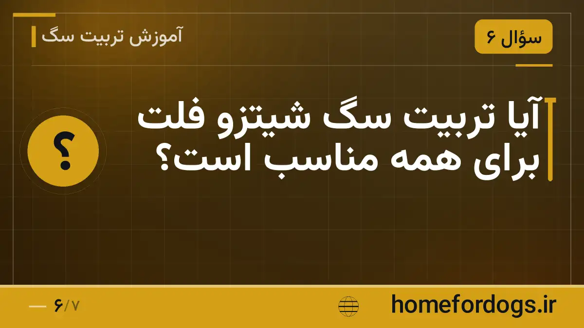 آیا تربیت سگ شیتزو فلت برای همه مناسب است؟