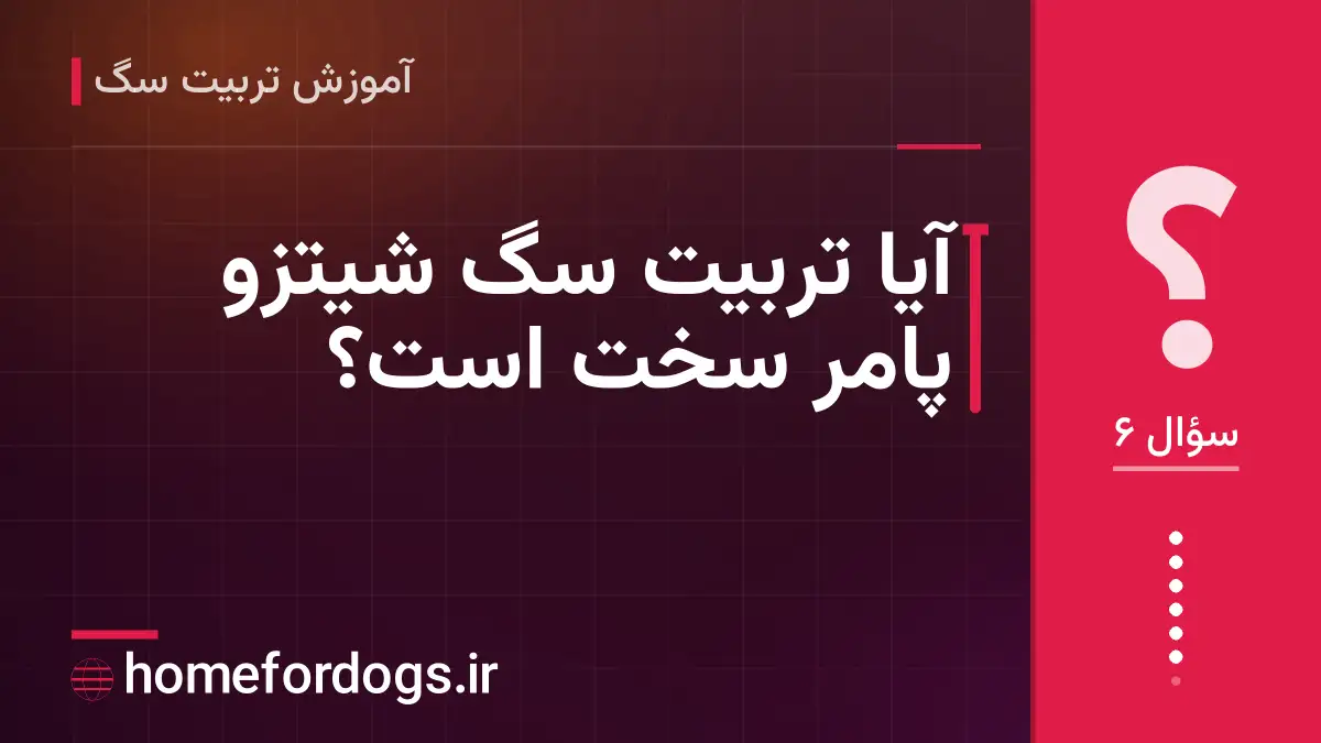 آیا تربیت سگ شیتزو پامر سخت است؟