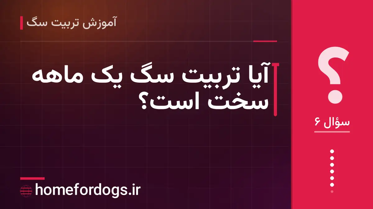 آیا تربیت سگ یک ماهه سخت است؟