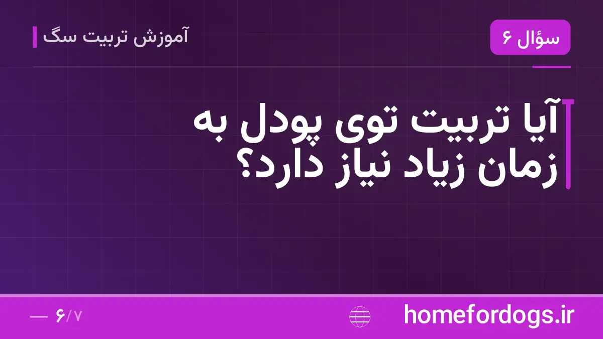 آیا تربیت توی پودل به زمان زیاد نیاز دارد؟