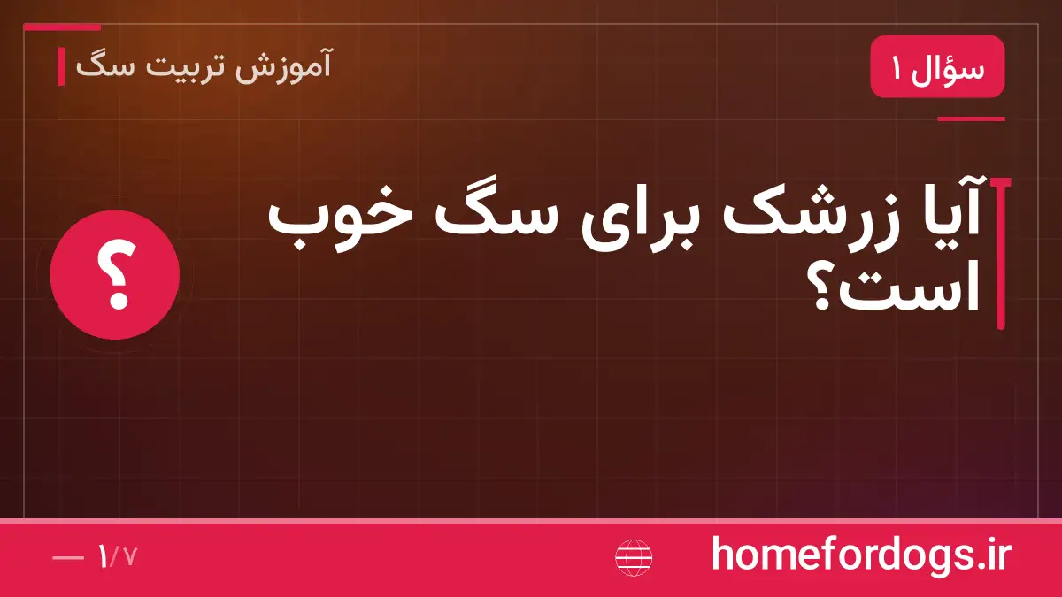آیا زرشک برای سگ خوب است؟