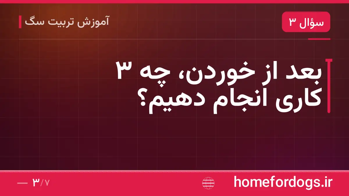 بعد از خوردن، چه ۳ کاری انجام دهیم؟