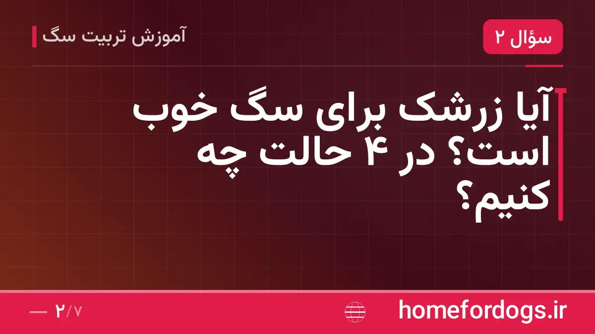 آیا زرشک برای سگ خوب است؟ در ۴ حالت چه کنیم؟