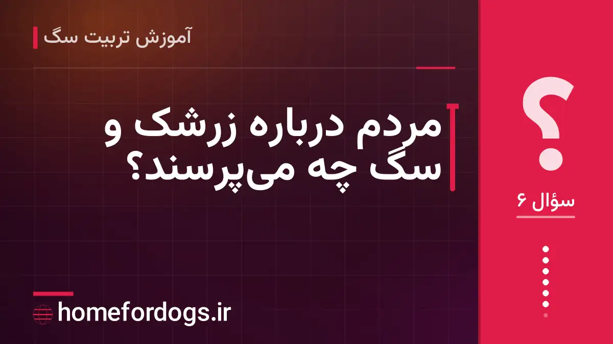 مردم درباره زرشک و سگ چه می‌پرسند؟