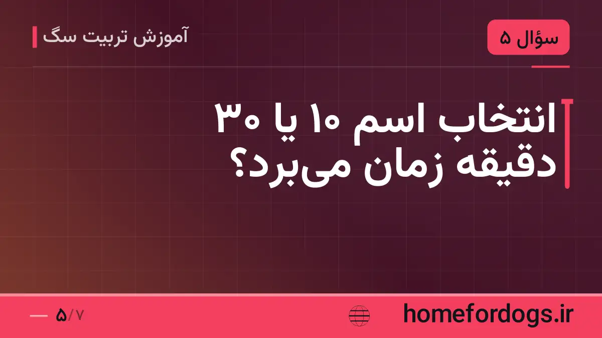 انتخاب اسم ۱۰ یا ۳۰ دقیقه زمان می‌برد؟