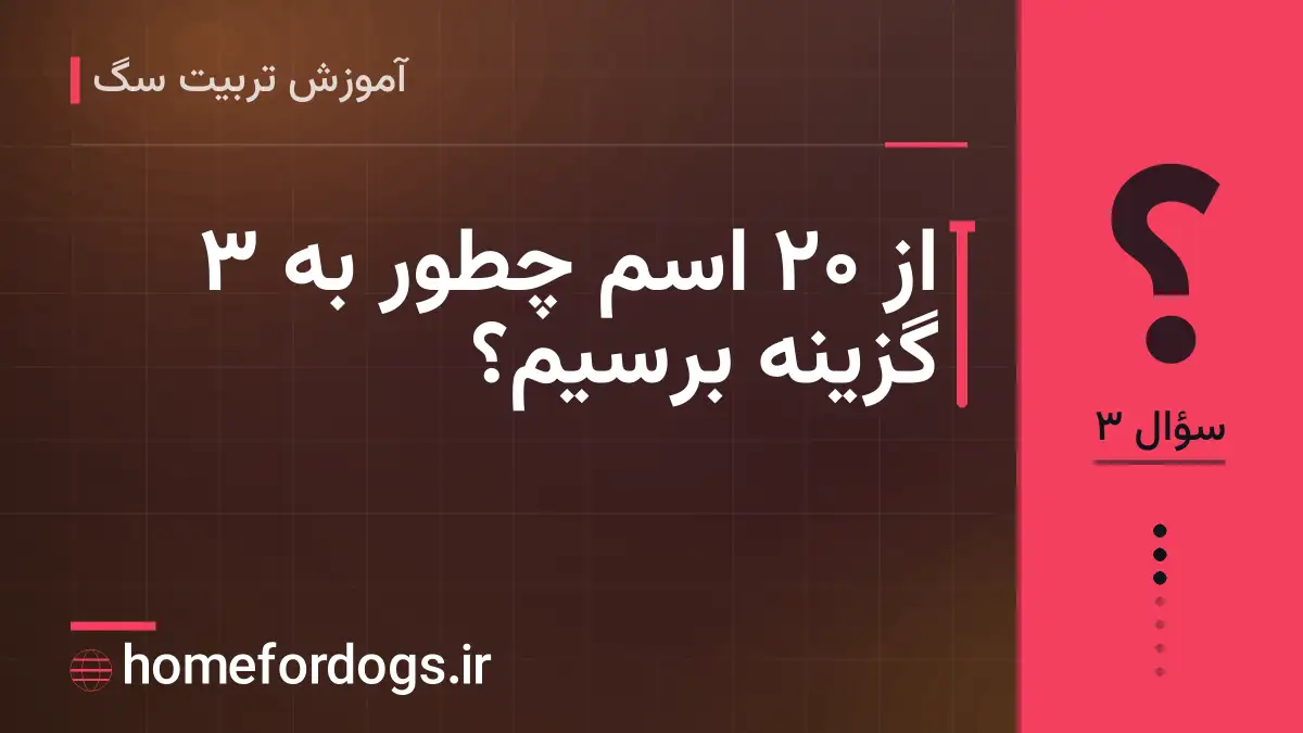 از ۲۰ اسم چطور به ۳ گزینه برسیم؟