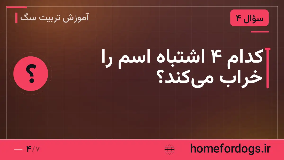 کدام ۴ اشتباه اسم را خراب می‌کند؟
