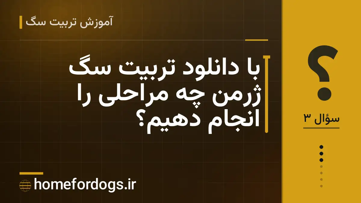 با دانلود تربیت سگ ژرمن چه مراحلی را انجام دهیم؟