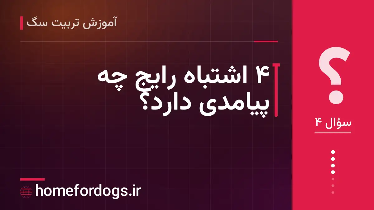 ۴ اشتباه رایج چه پیامدی دارد؟