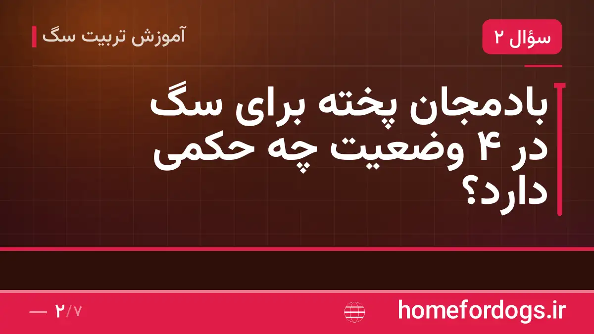 بادمجان پخته برای سگ در ۴ وضعیت چه حکمی دارد؟