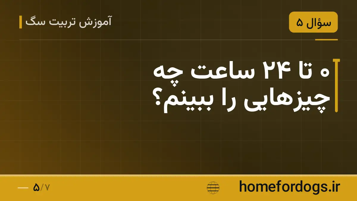 ۰ تا ۲۴ ساعت چه چیزهایی را ببینم؟