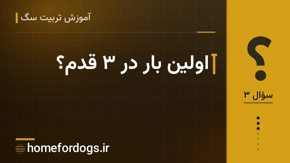 اولین بار در ۳ قدم؟