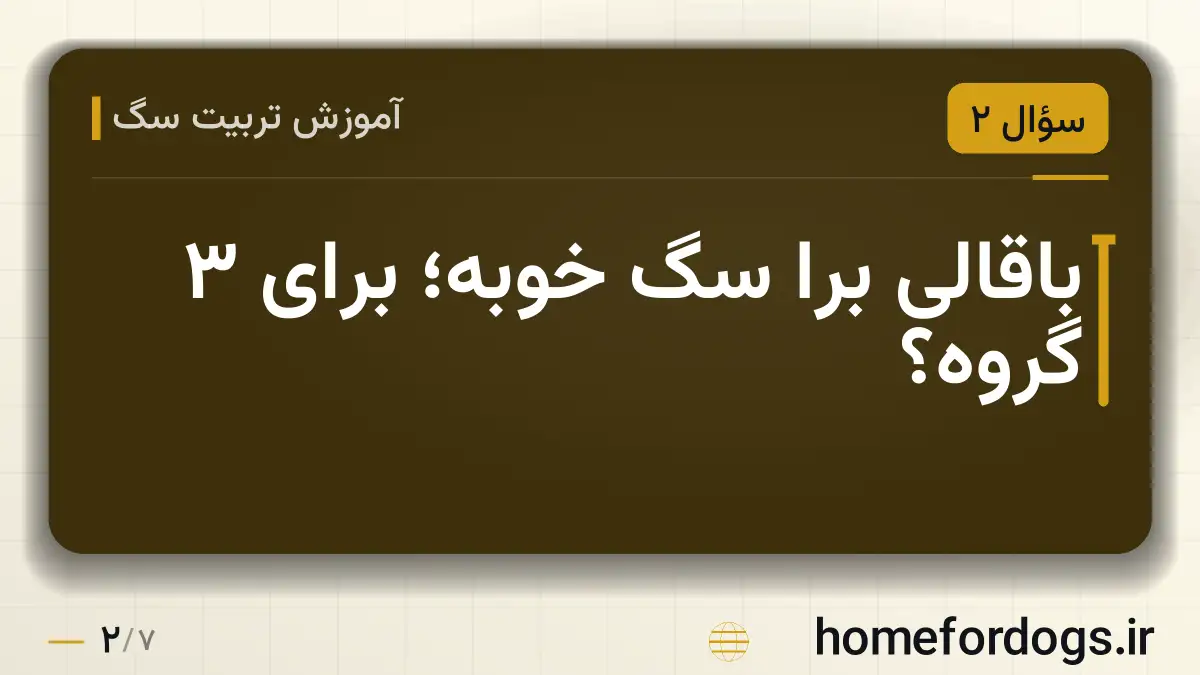 باقالی برا سگ خوبه؛ برای ۳ گروه؟