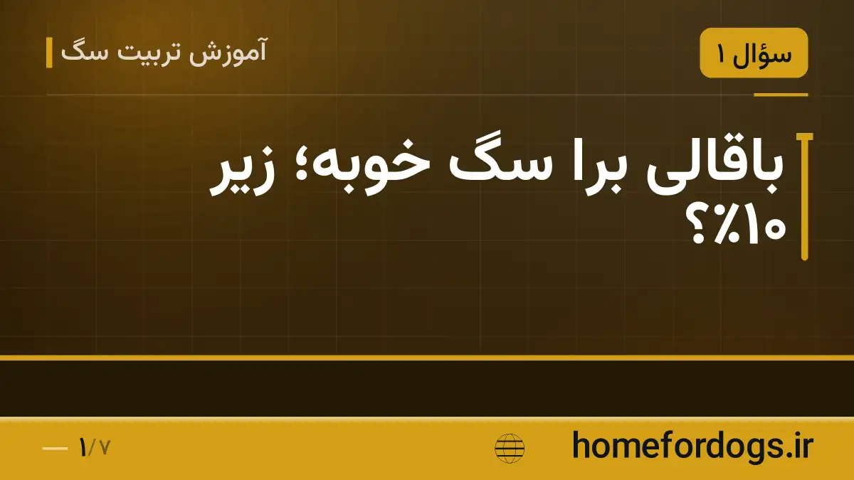 باقالی برا سگ خوبه؛ زیر ۱۰٪؟