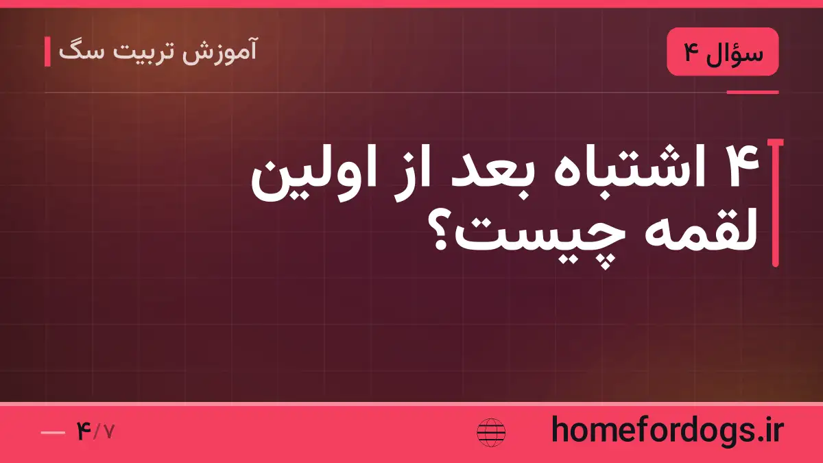 ۴ اشتباه بعد از اولین لقمه چیست؟