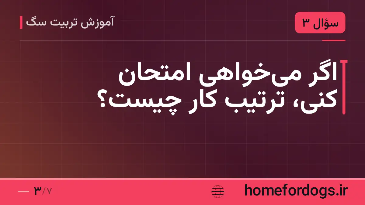 اگر می‌خواهی امتحان کنی، ترتیب کار چیست؟
