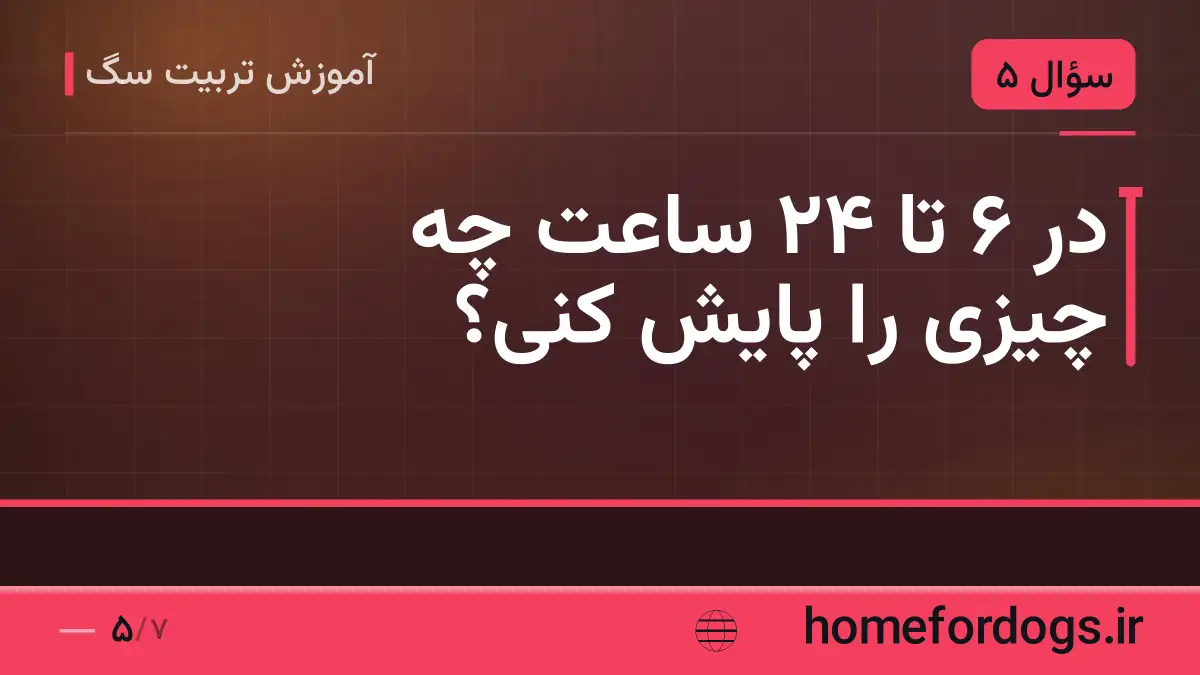 در ۶ تا ۲۴ ساعت چه چیزی را پایش کنی؟