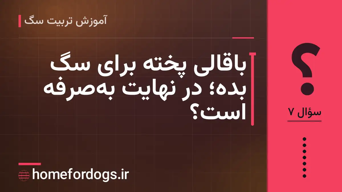 باقالی پخته برای سگ بده؛ در نهایت به‌صرفه است؟