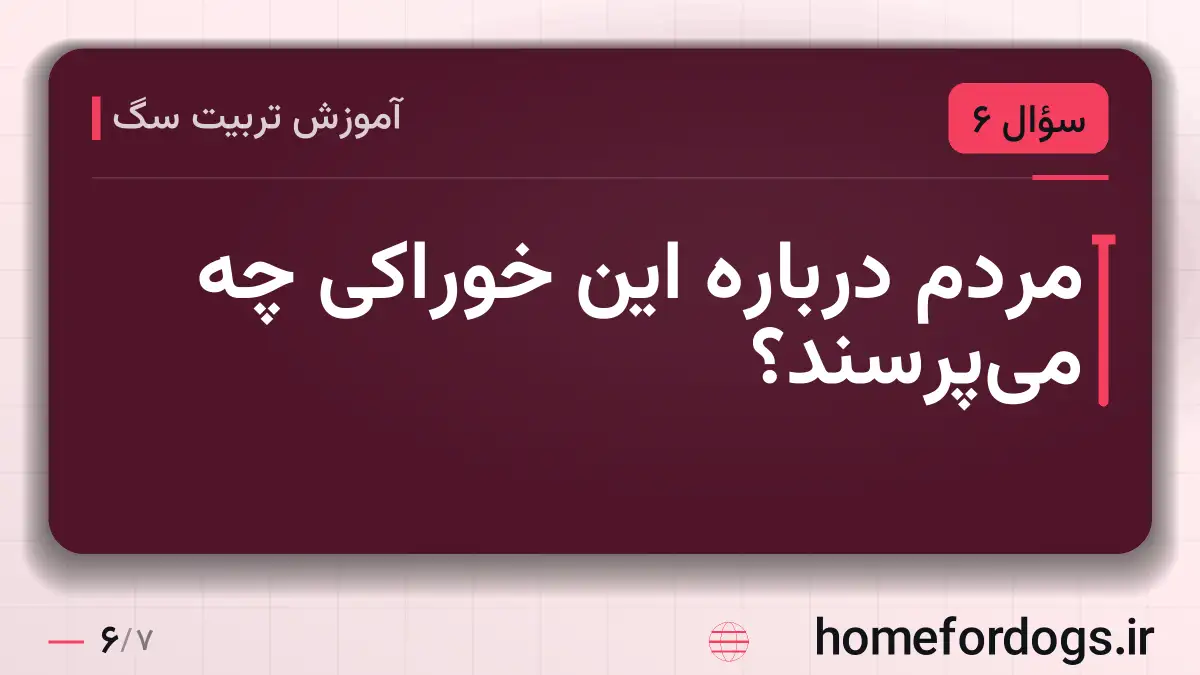 مردم درباره این خوراکی چه می‌پرسند؟