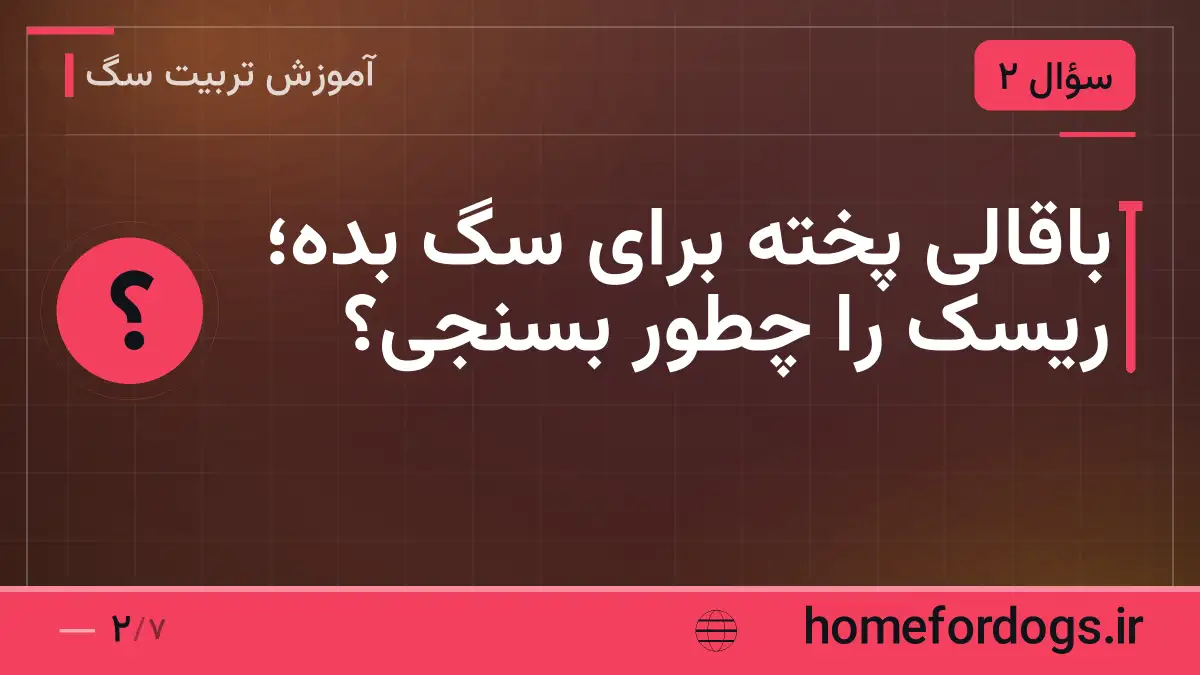 باقالی پخته برای سگ بده؛ ریسک را چطور بسنجی؟