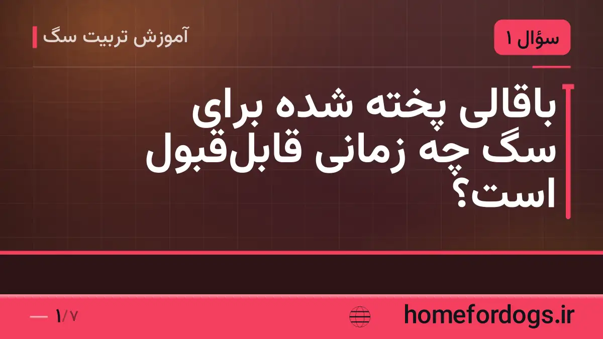 باقالی پخته شده برای سگ چه زمانی قابل‌قبول است؟