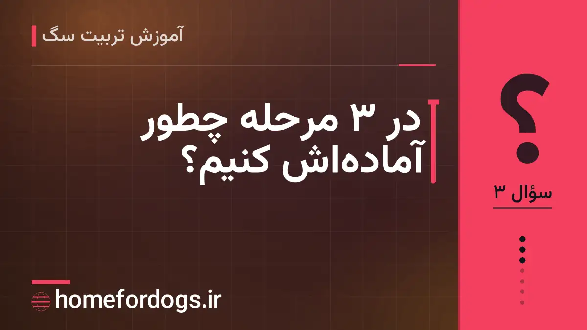 در ۳ مرحله چطور آماده‌اش کنیم؟