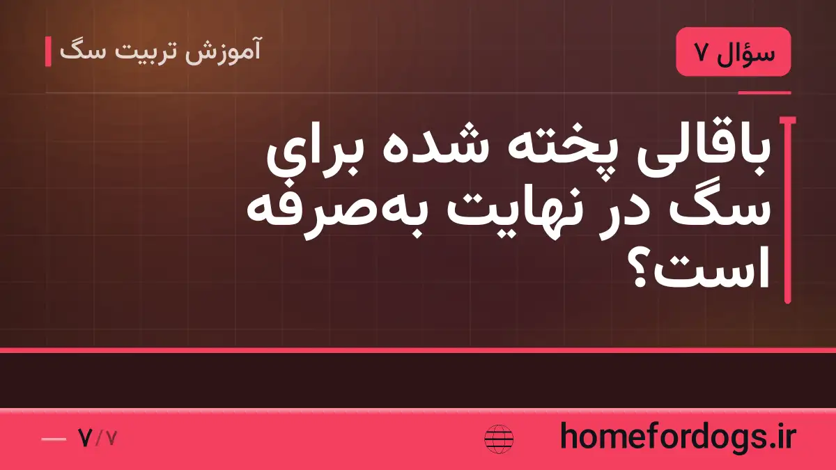 باقالی پخته شده برای سگ در نهایت به‌صرفه است؟