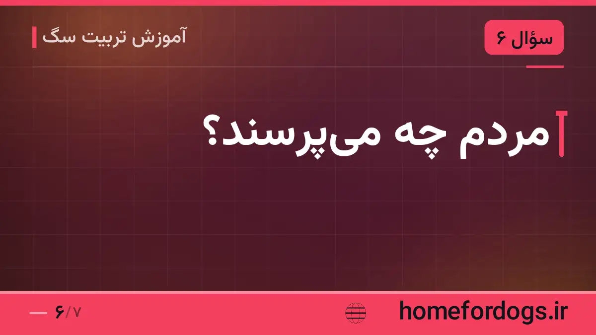 مردم چه می‌پرسند؟