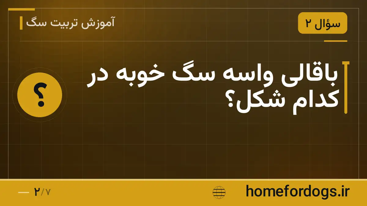 باقالی واسه سگ خوبه در کدام شکل؟