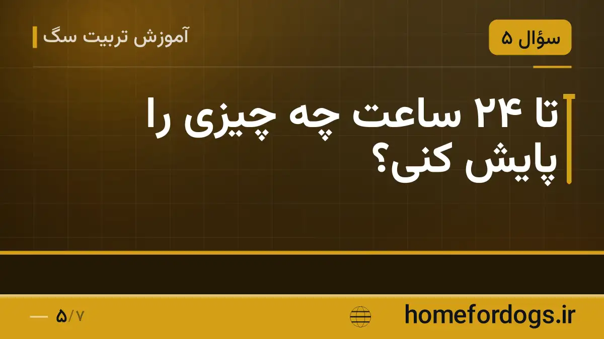 تا ۲۴ ساعت چه چیزی را پایش کنی؟