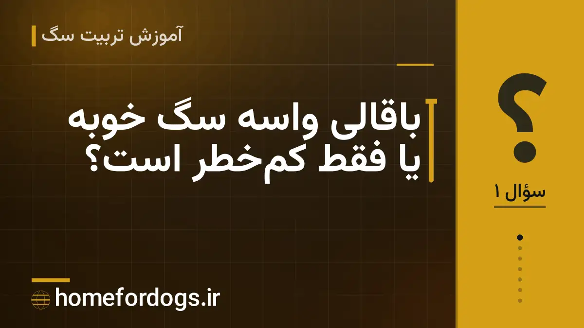 باقالی واسه سگ خوبه یا فقط کم‌خطر است؟