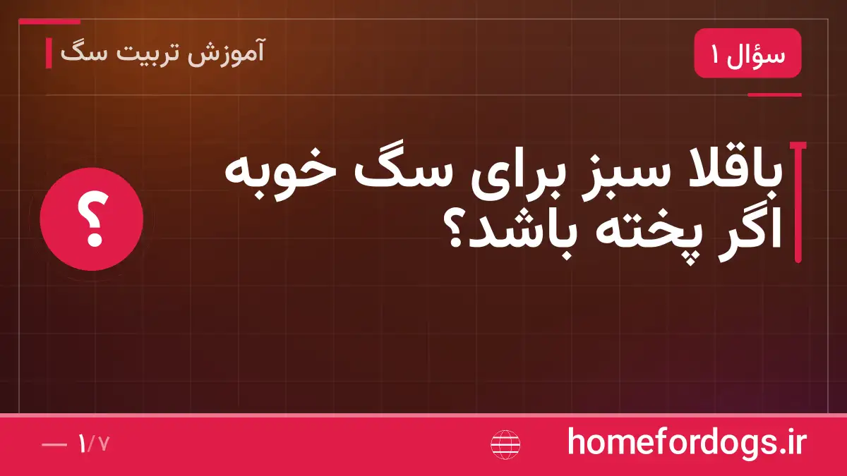 باقلا سبز برای سگ خوبه اگر پخته باشد؟