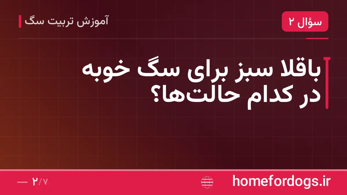 باقلا سبز برای سگ خوبه در کدام حالت‌ها؟
