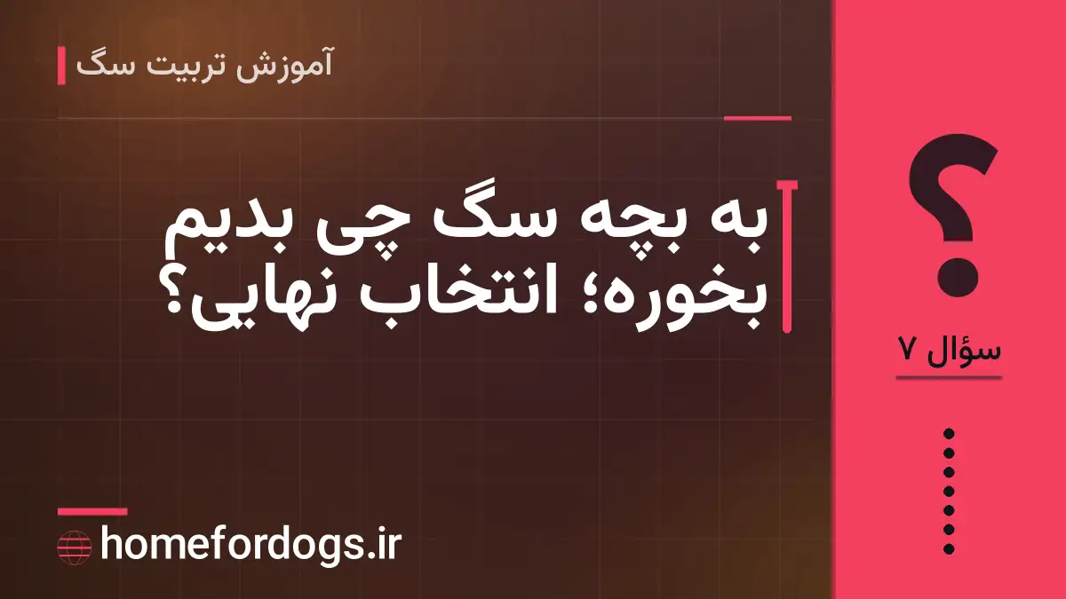 به بچه سگ چی بدیم بخوره؛ انتخاب نهایی؟