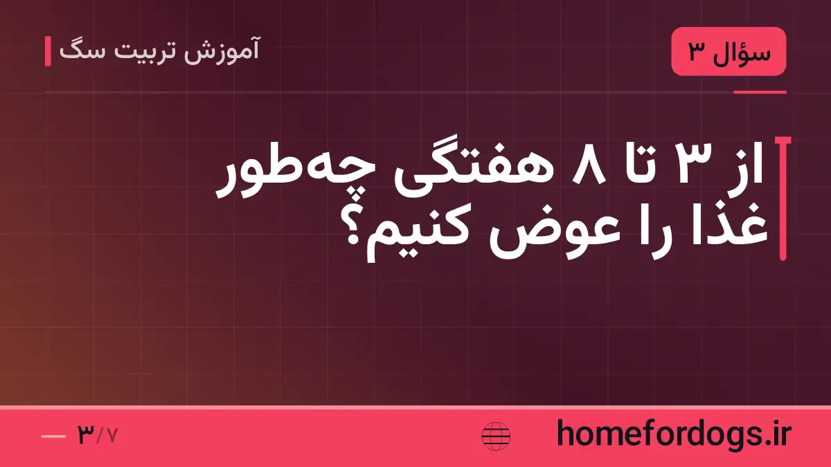 از ۳ تا ۸ هفتگی چه‌طور غذا را عوض کنیم؟