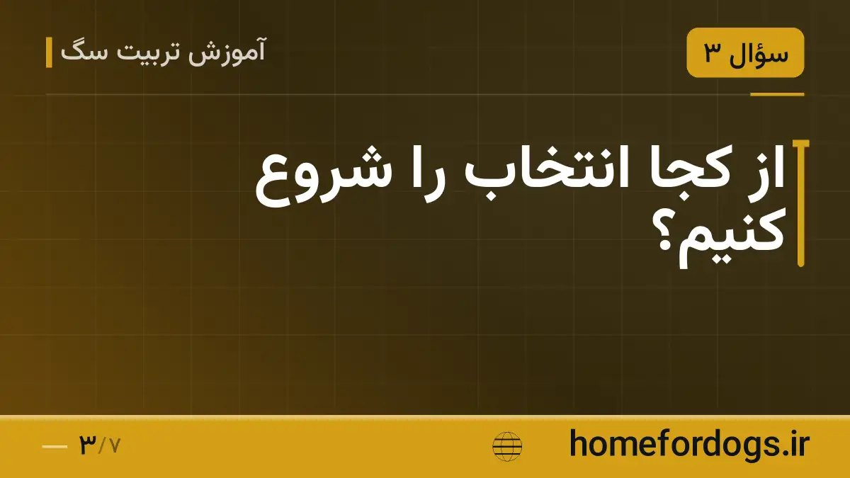 از کجا انتخاب را شروع کنیم؟