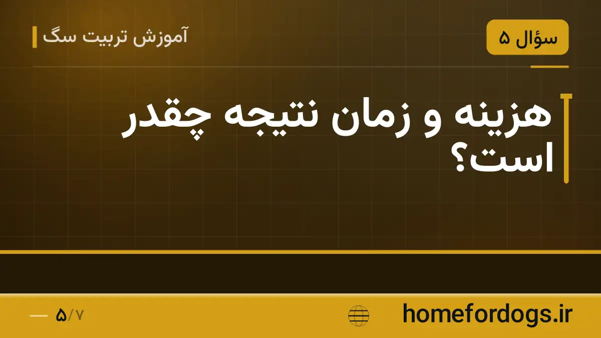 هزینه و زمان نتیجه چقدر است؟