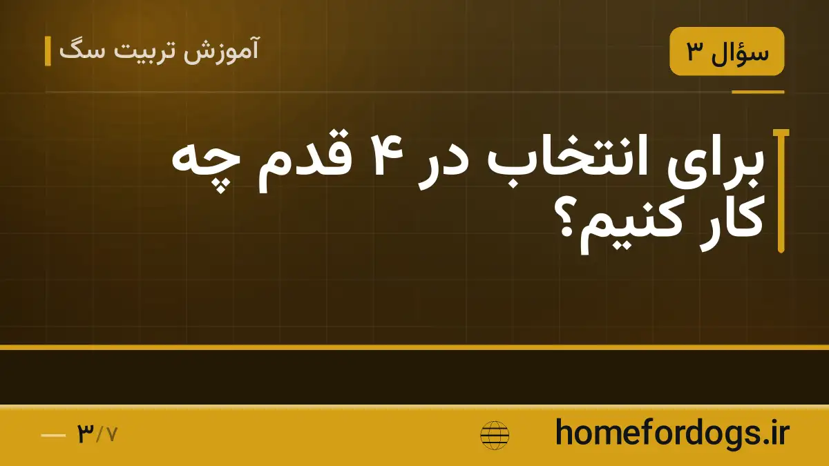برای انتخاب در ۴ قدم چه کار کنیم؟