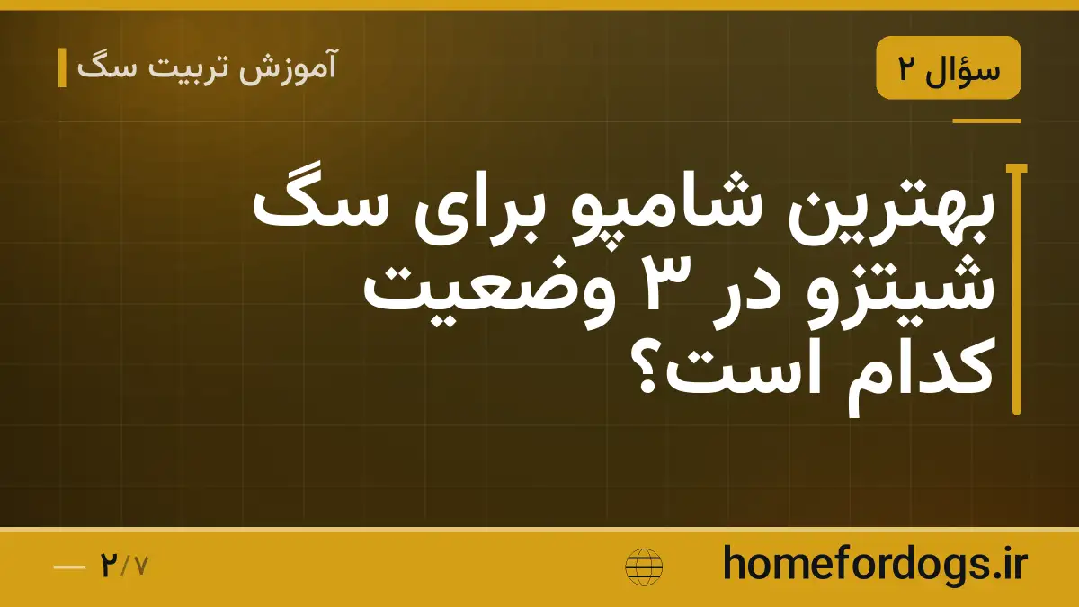بهترین شامپو برای سگ شیتزو در ۳ وضعیت کدام است؟
