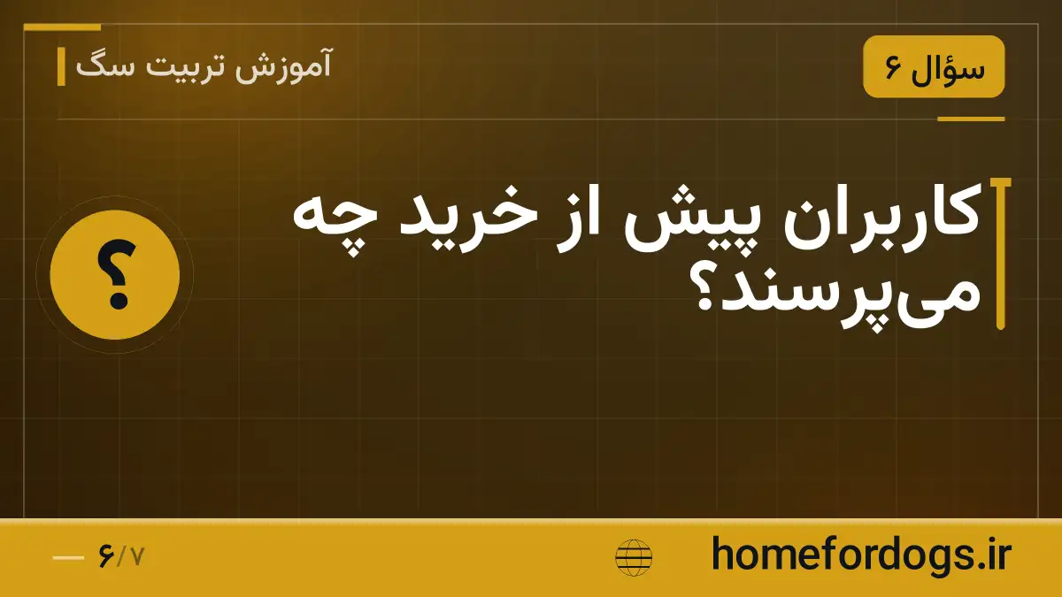 کاربران پیش از خرید چه میپرسند؟