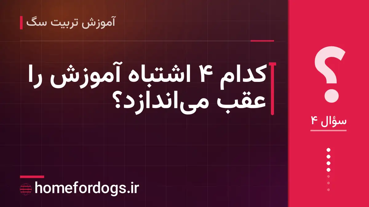 کدام ۴ اشتباه آموزش را عقب میاندازد؟